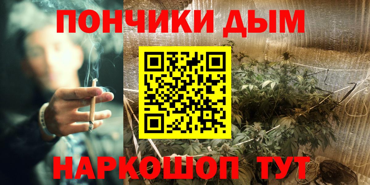 Конопля сатива Красноармейск